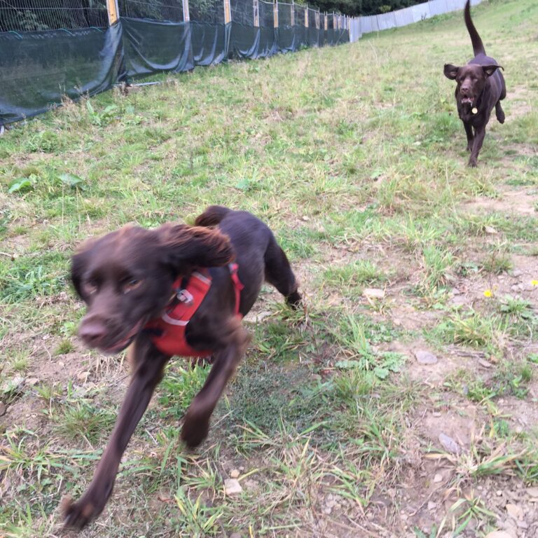 2148 3269969e8acdc5cb2d80dd487519028c 1 768x768