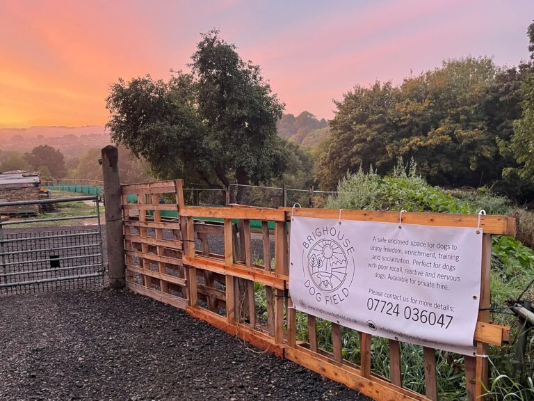 2148 8eee5815c5b53c6aa32c4cd1b8fdf402 1 768x576