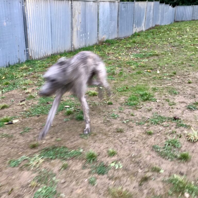 2148 a6c3609cb23f19873830952503d5bc35 1 768x768