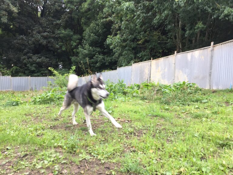 2148 adb5dc080796c2f4cce31b374a07d48c 1 768x576