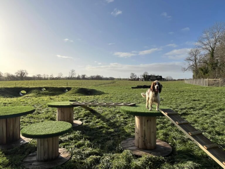 2162 3678334aade8370628c2a69a738ffa87 1 768x576