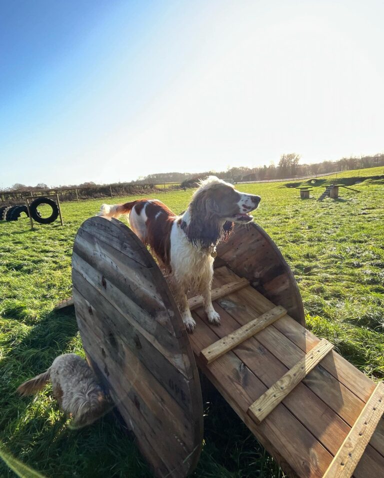 2162 eb01974586399f3b3cca81715446fb9d 1 768x957