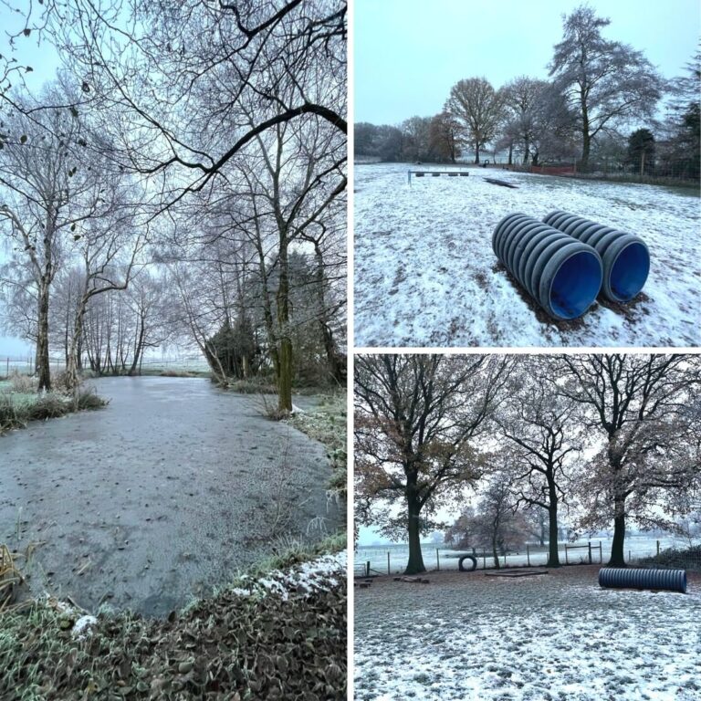 2165 263fbaf2e2c912a2d77ca482735c4fba 1 768x768