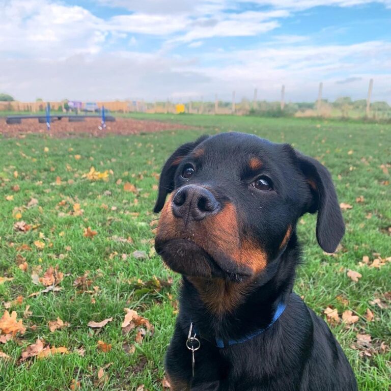 2165 2f04cd13f2e8f83e2f07d81e471c0da1 1 768x768