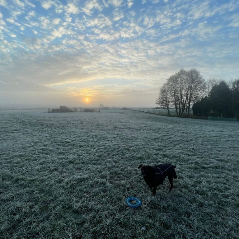 2165 a6ef60d71f93de1472802b9e0dd00eb1 1 768x768