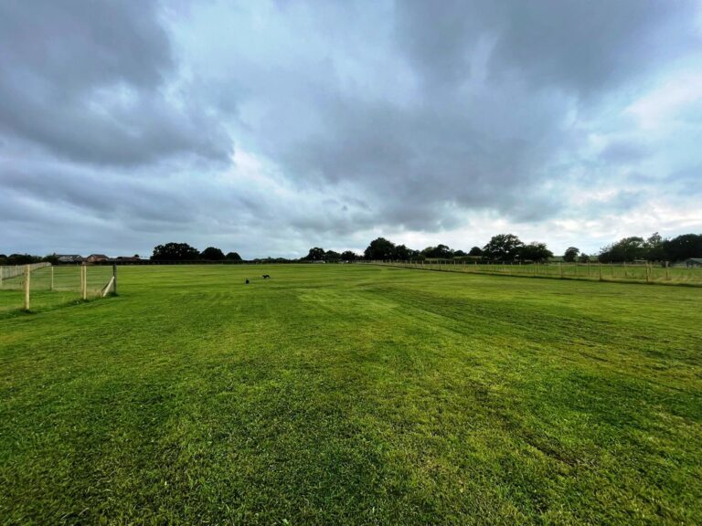 2167 498d7a766956579d028fa245c45bd82b 1 768x576