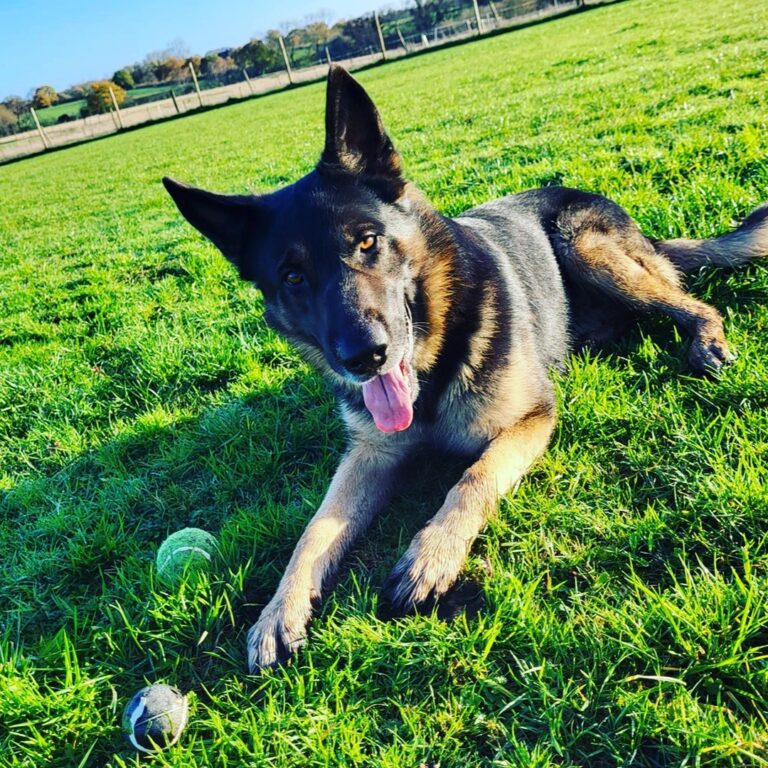 2167 58df697cc8544d429f9028c2e04caf2f 1 768x768