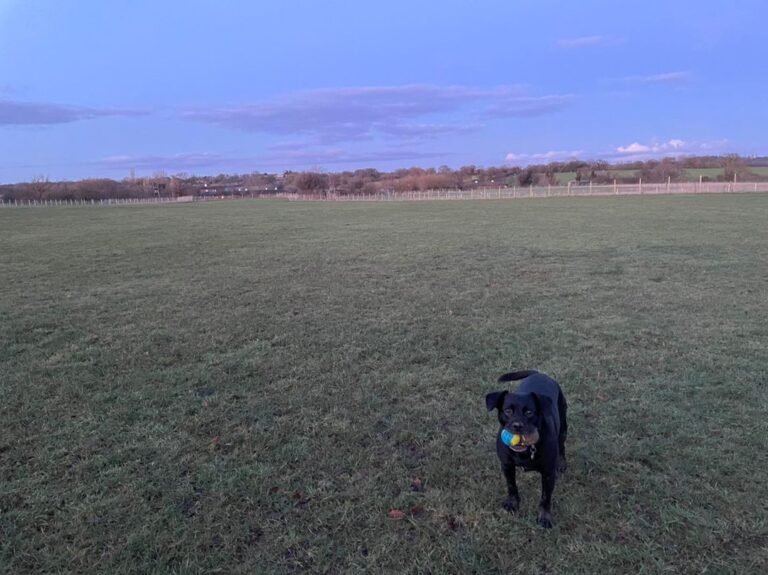 2167 6ced64430dadbe0422408f5fa6600020 1 768x575