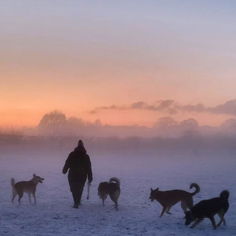 2167 8c0faae705b33615c46705ea86d0c323 1 768x768