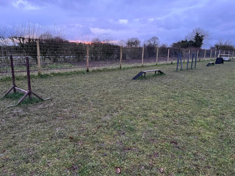 2167 d84216a45ada8b2f7e6882e4cb8ebc16 1 768x576