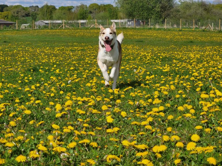 2167 f140634ac7fd221ec21077c26ab52731 1 768x576