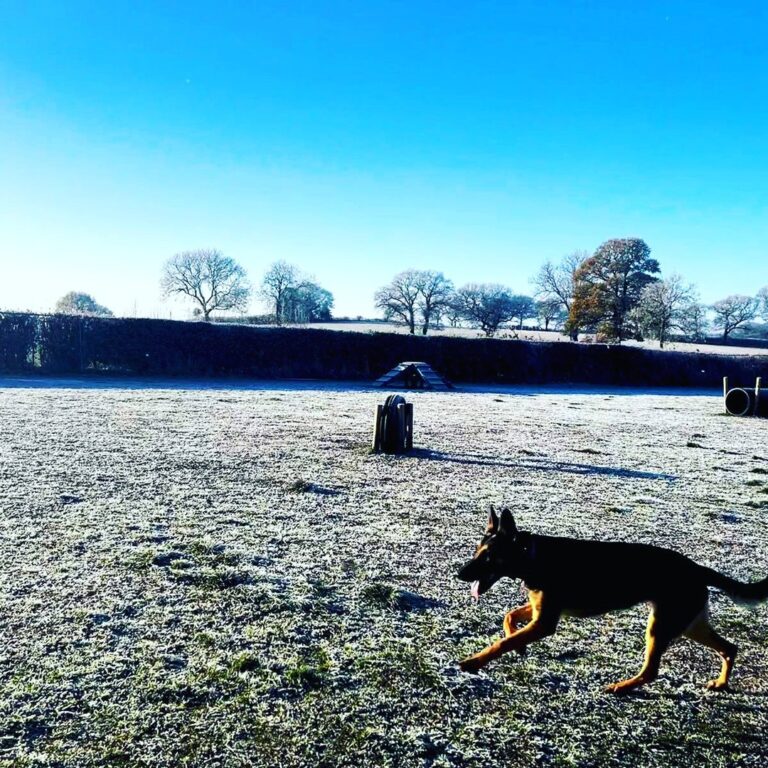 2168 a5b5124d0fe4fa6f62de926bd91410e8 1 768x768