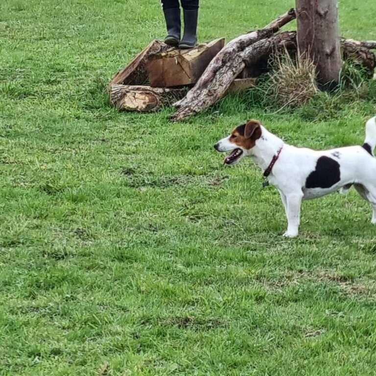 2173 4c30e640abd95a5612a51f59b17cdfd4 1 768x768