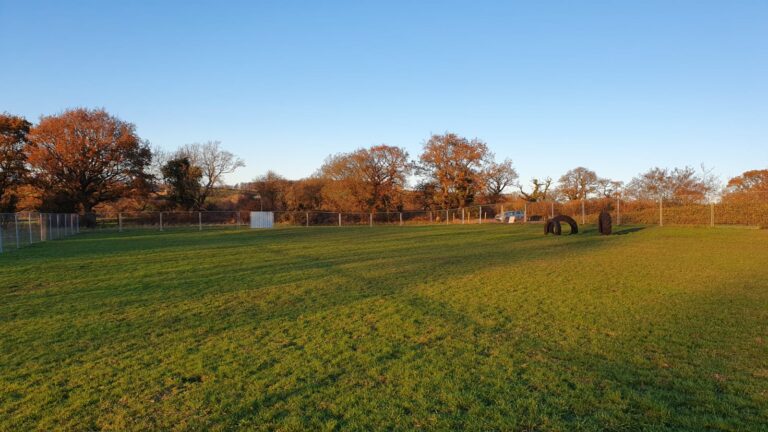 2173 946b24015ab3fee5cdaace4ced8c7c14 1 768x432