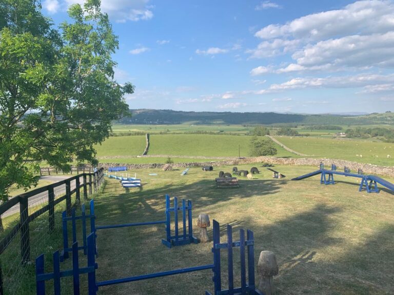 2178 4aad1c5ee03ac8a34a22fc66c3c2c9cc 1 768x576