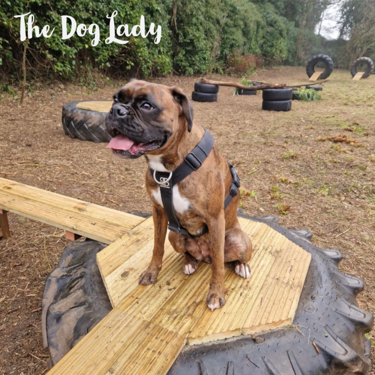 2180 ead3d3c1edd7d7353b89bf8ff43bb5b9 1 768x768