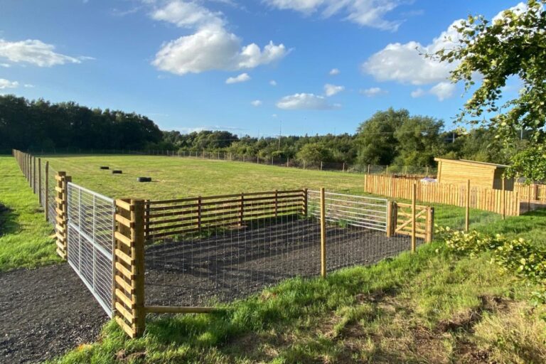 2192 09b49e36783b95d97d6229d3ff0800b8 1 768x512