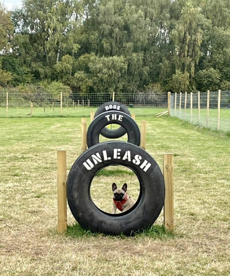 2192 255d9f78b8a7d40dc1d84cb7945ff8b3 1 768x920