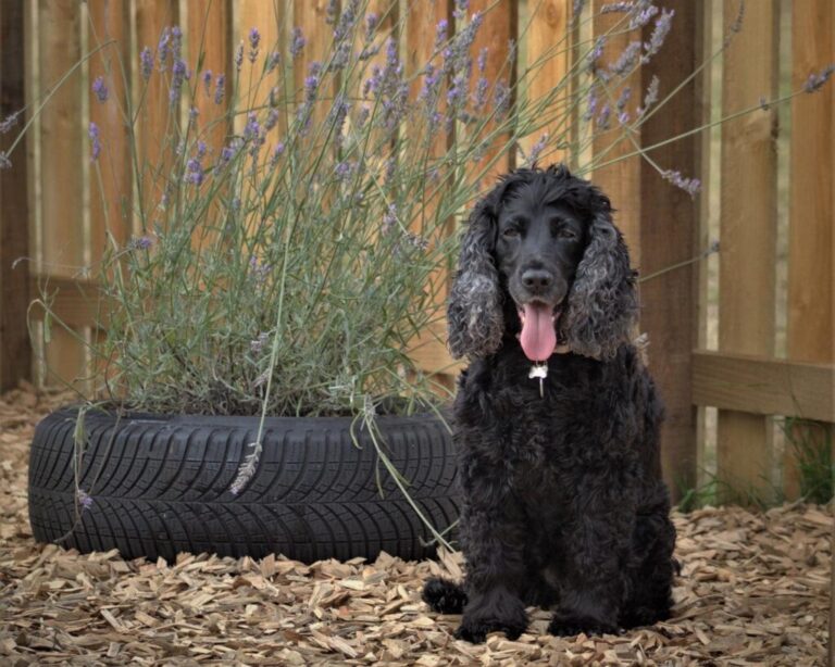 2192 2611ddb0f4de0d68df7fafc2e74d2a19 1 768x614