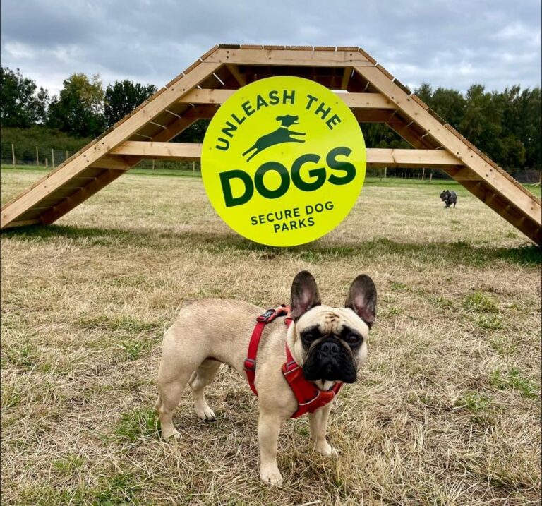 2192 8eab4ecdfa35a94629560b453a5799cb 1 768x717