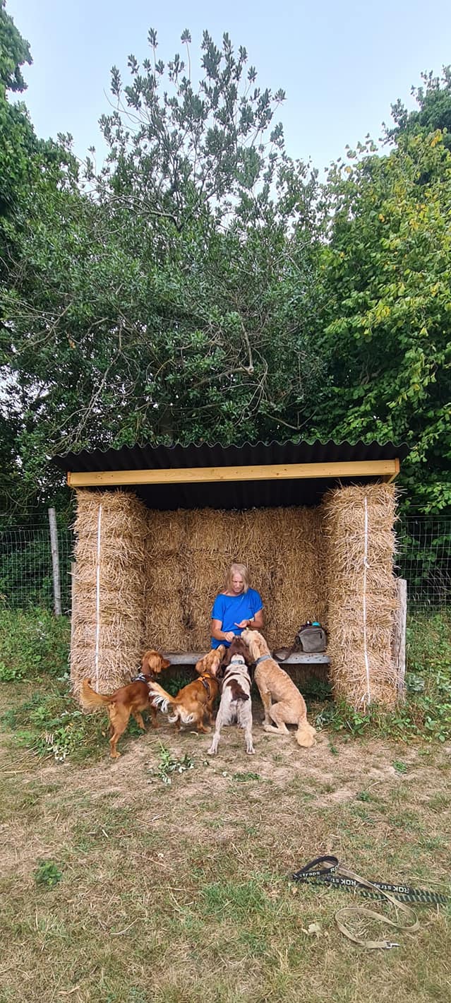 2199 1d352af71eac1cd67e387ac2e42981da 1