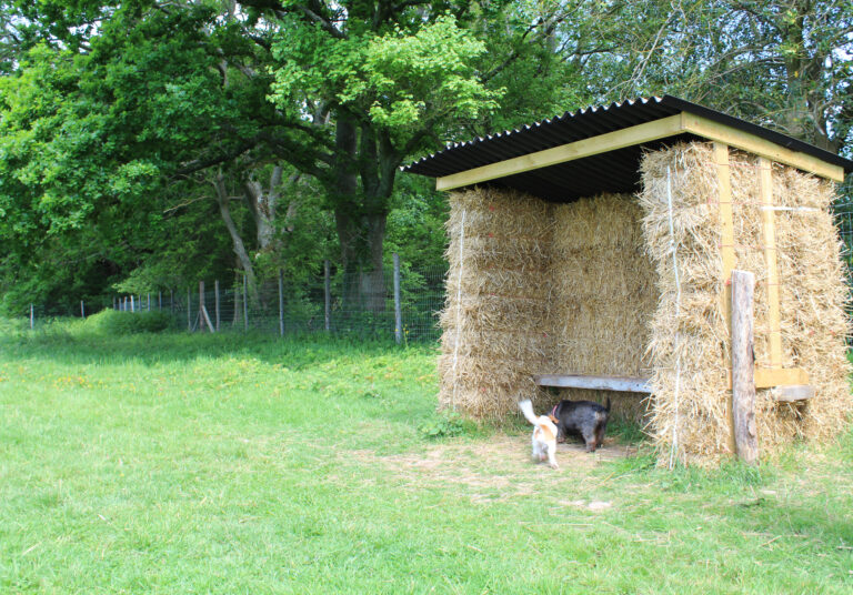 2199 b72887fe406f73698af9bf64ca2f0caa 1 768x536