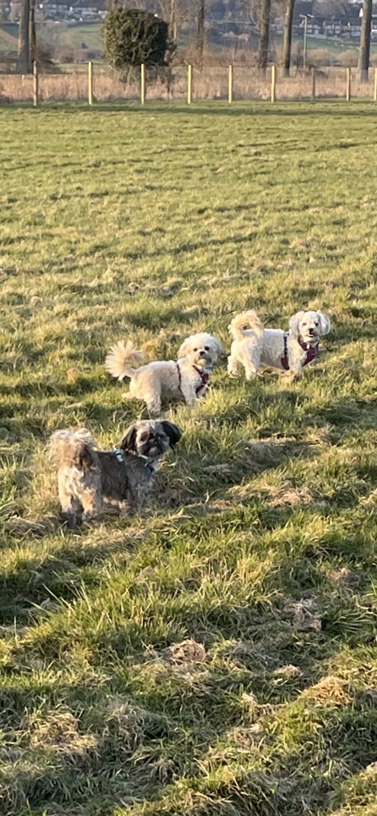 2202 622911f9b8643d8e0d05da539a8a541e 1 768x1662