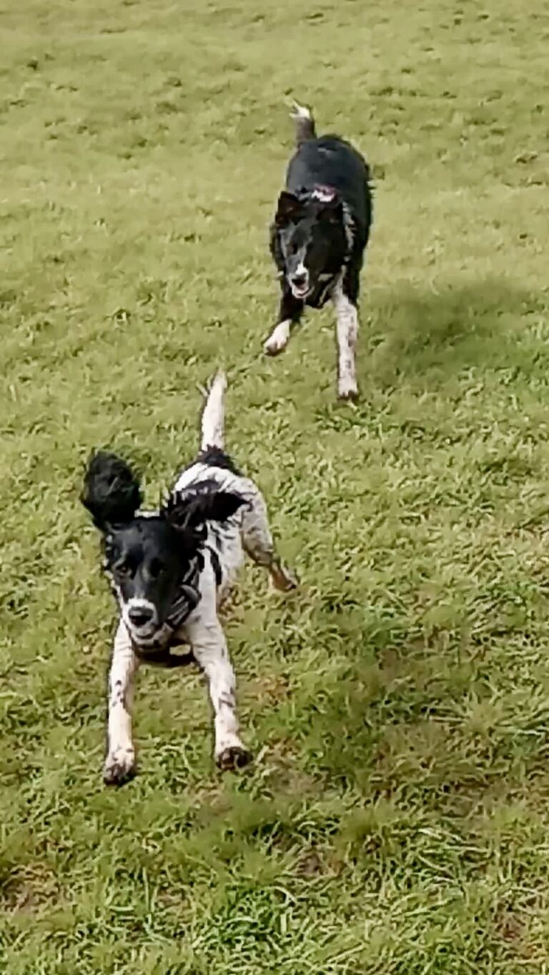 2206 449512c54e230df474741a6c7b6a4381 1 768x1365