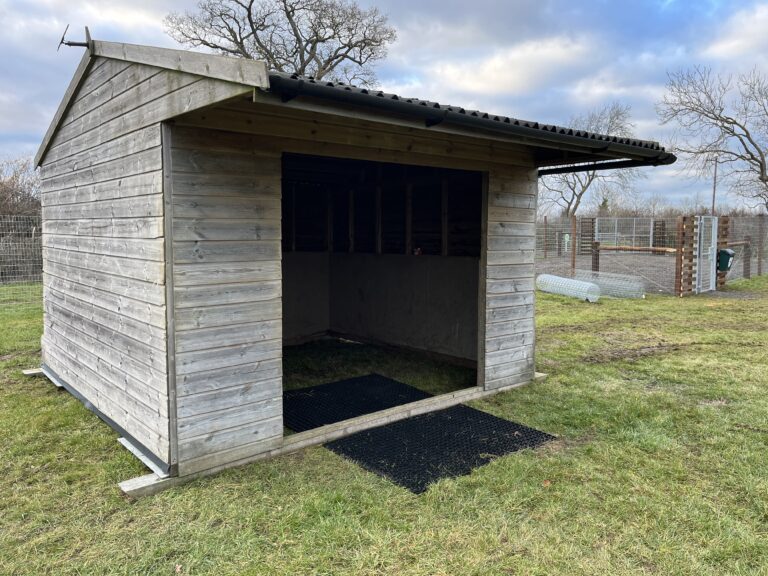 2206 5b4afcd6a5c2955b9c54f9bdcac51a78 1 768x576