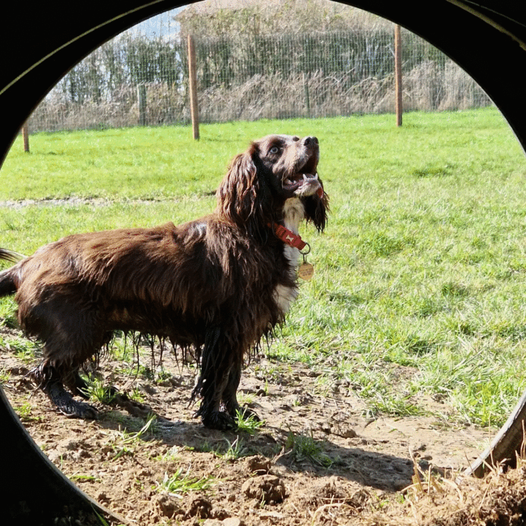 2206 ef0f9506ce14101617152769439debd7 1 768x768