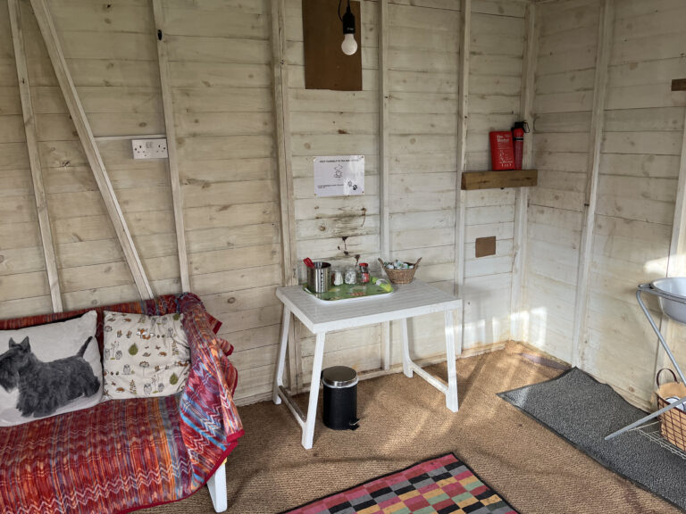 2215 98cbef8026566195f2bad6ac1a7528fc 1 768x576