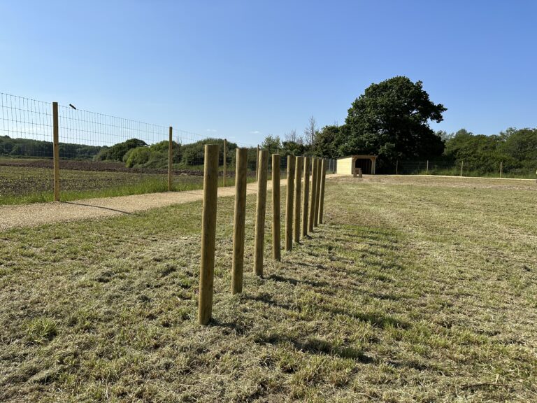 2220 643d4f9ea4a01fdfbe0f01eb88ed9f81 1 768x576