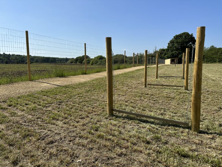 2220 ea8ea6aeecf43154374c6efd3b1abbd8 1 768x576