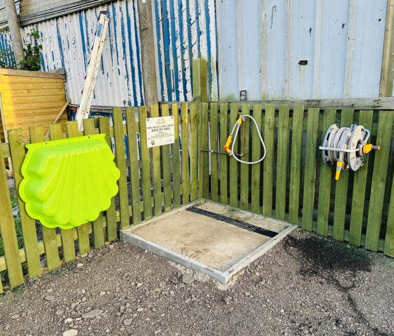 2227 26e38f5d7254e78fa9428f522560c06f 1 768x656