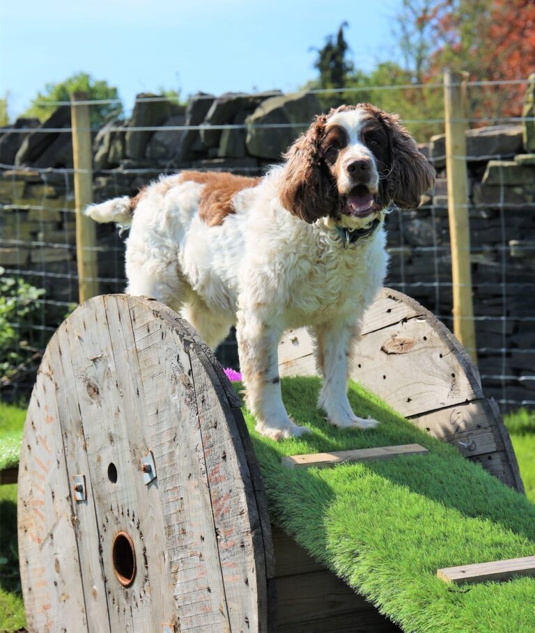 2227 429e3fdad5723f18725f4695c1882736 1 768x909