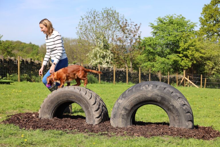 2227 78ecf75e832713502a4d48c784d42685 1 768x512