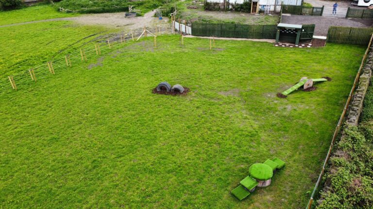 2227 7dd03e854f3a877829bfddc586728a56 1 768x432