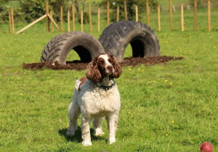 2227 7e499d5b504fb55ceca2bed578f2bdbc 1 768x534