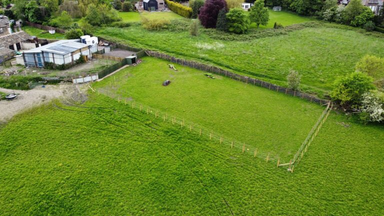 2227 a7a46c7f6dcbab7949b7659774574210 1 768x432