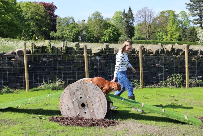 2227 cba2d351fd0d063b1144b9194a5dcfc2 1 768x515