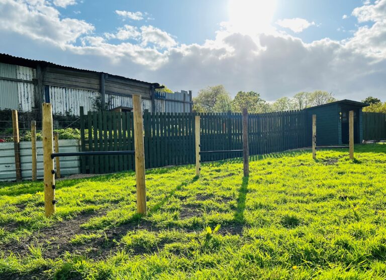 2227 ec2d74d5c7dd5366758d6aa523aa1c5c 1 768x558