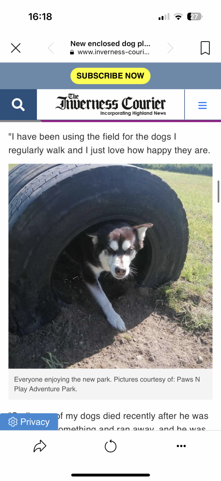 2228 63f6f47476b7d5727311f83d5369c0ed 1 768x1665