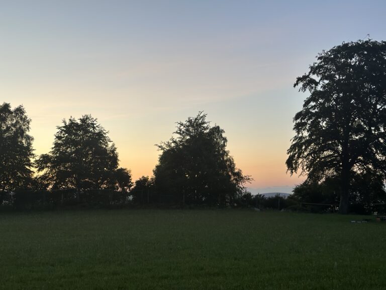 2228 81ff4ded16a24eb748e092c5fe7f01ac 1 768x576