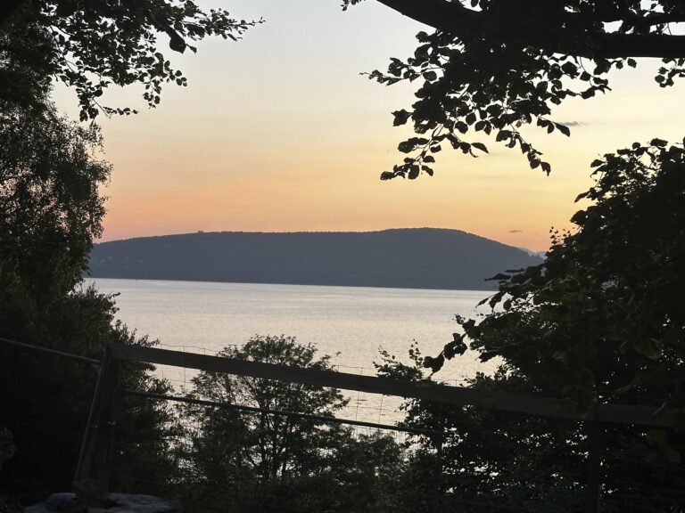 2228 c0a4da8b0ab436f8d8073761c04ac5d4 1 768x576