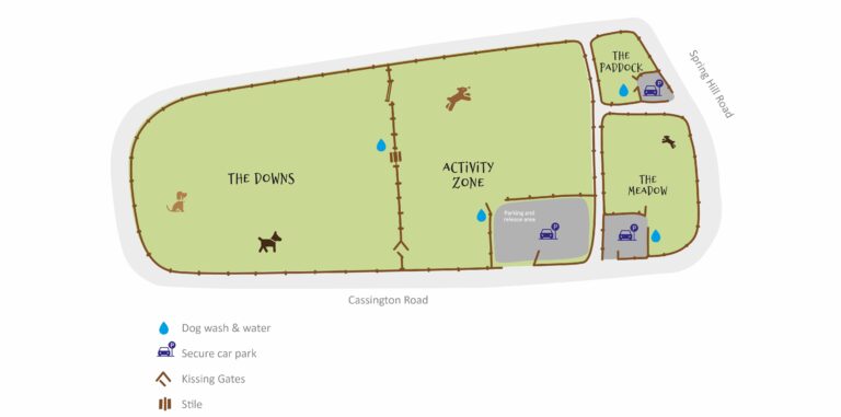 2229 ab5e525dd68b80d050f48a087feaa172 1 768x381