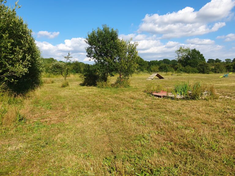 2236 64e30c89ad1376c0fb6744c011c8b76a 1 768x576