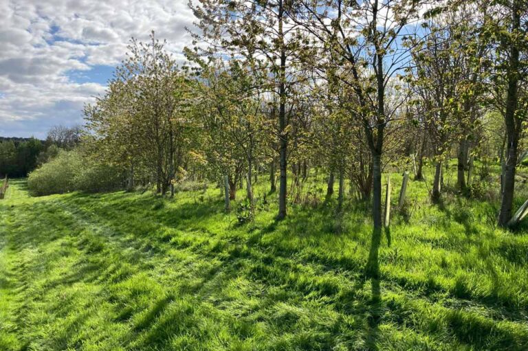 2242 9d31c88498df300a627d53a4d197fe6e 1 768x511