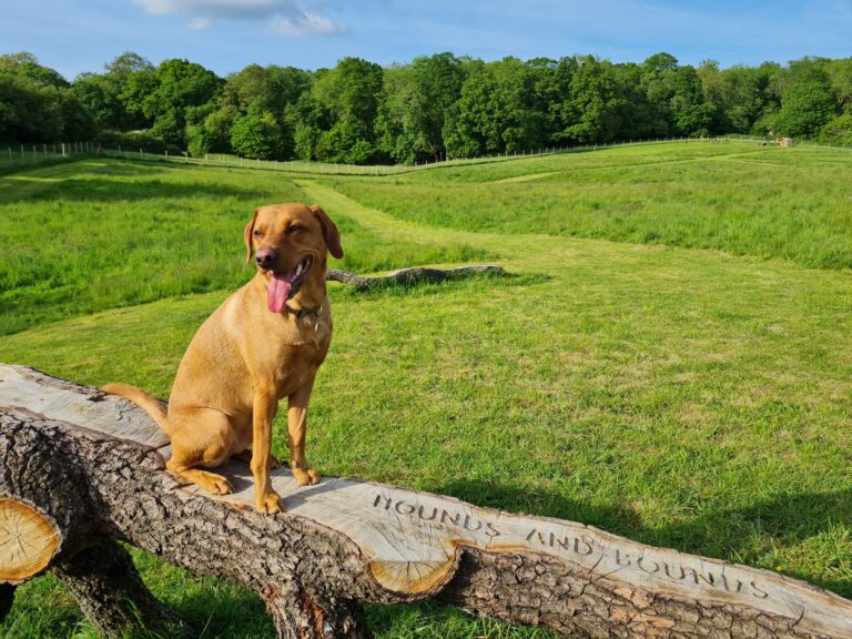 2248 eb34421c8f675060b17ad88278803113 1 768x576