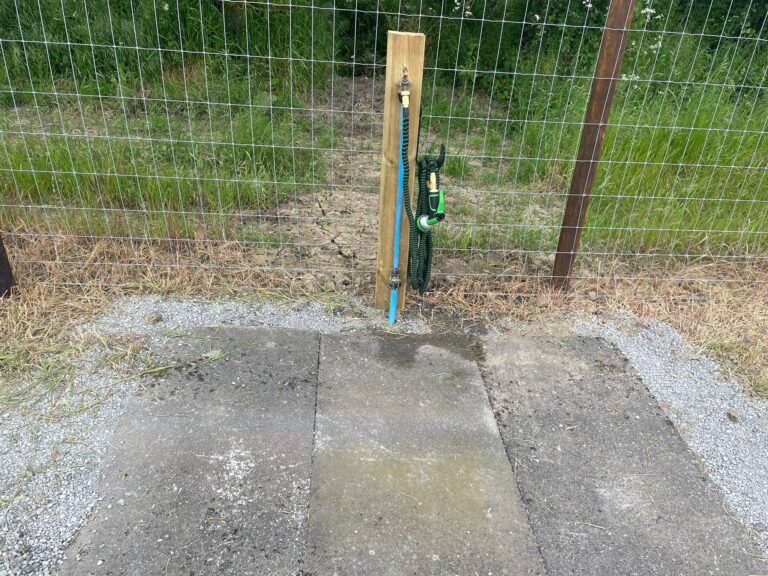 2250 3638a4b9ad7f853bcf29d6f4d8fc3328 1 768x576