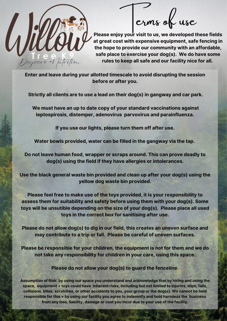 2254 d8802df7292e6e4b8a293451055d45e4 1 768x1086